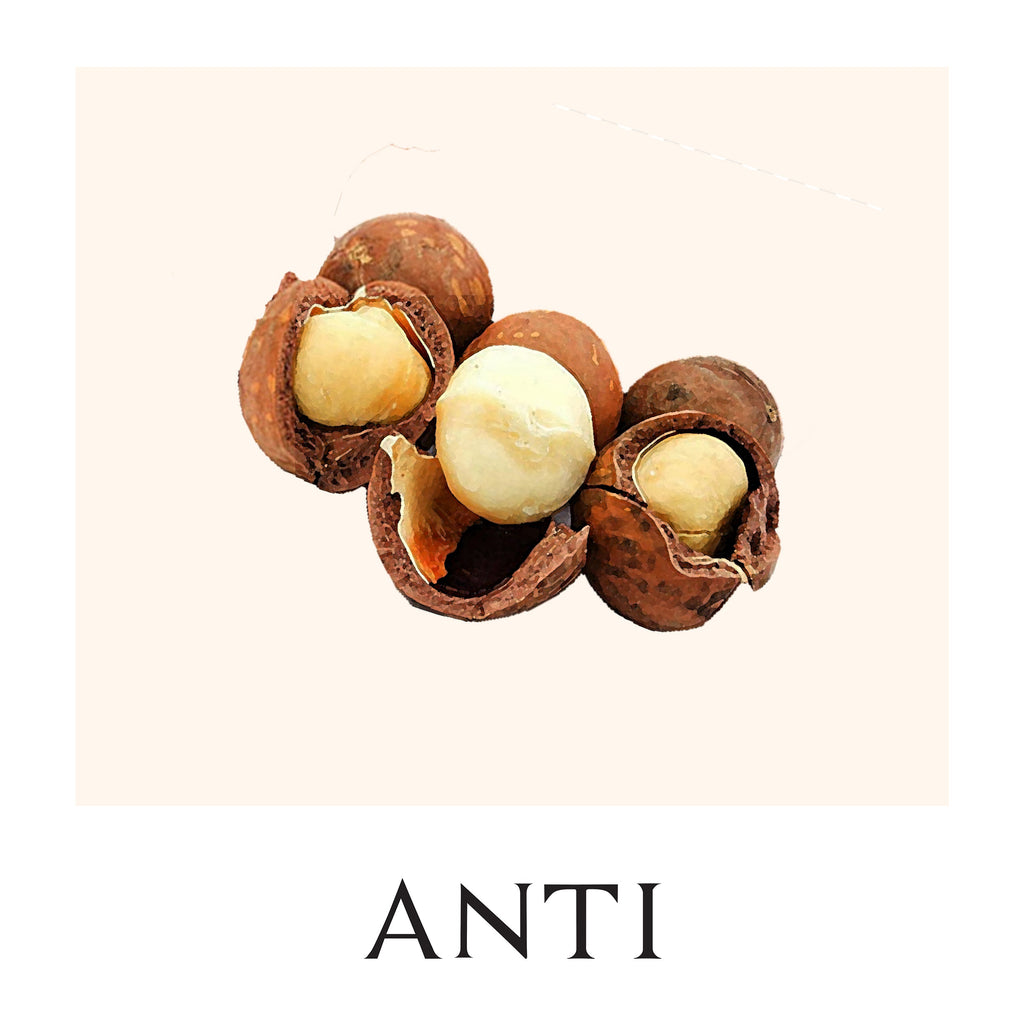 ANTI - Everything Cream | MCM Beauty 