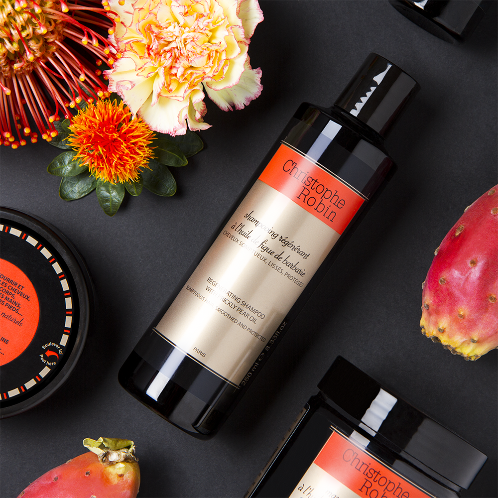 The Best Hair Regenerate & Renew Products by Christophe Robin for Healthy Hair and Hair Colour - Hair Care