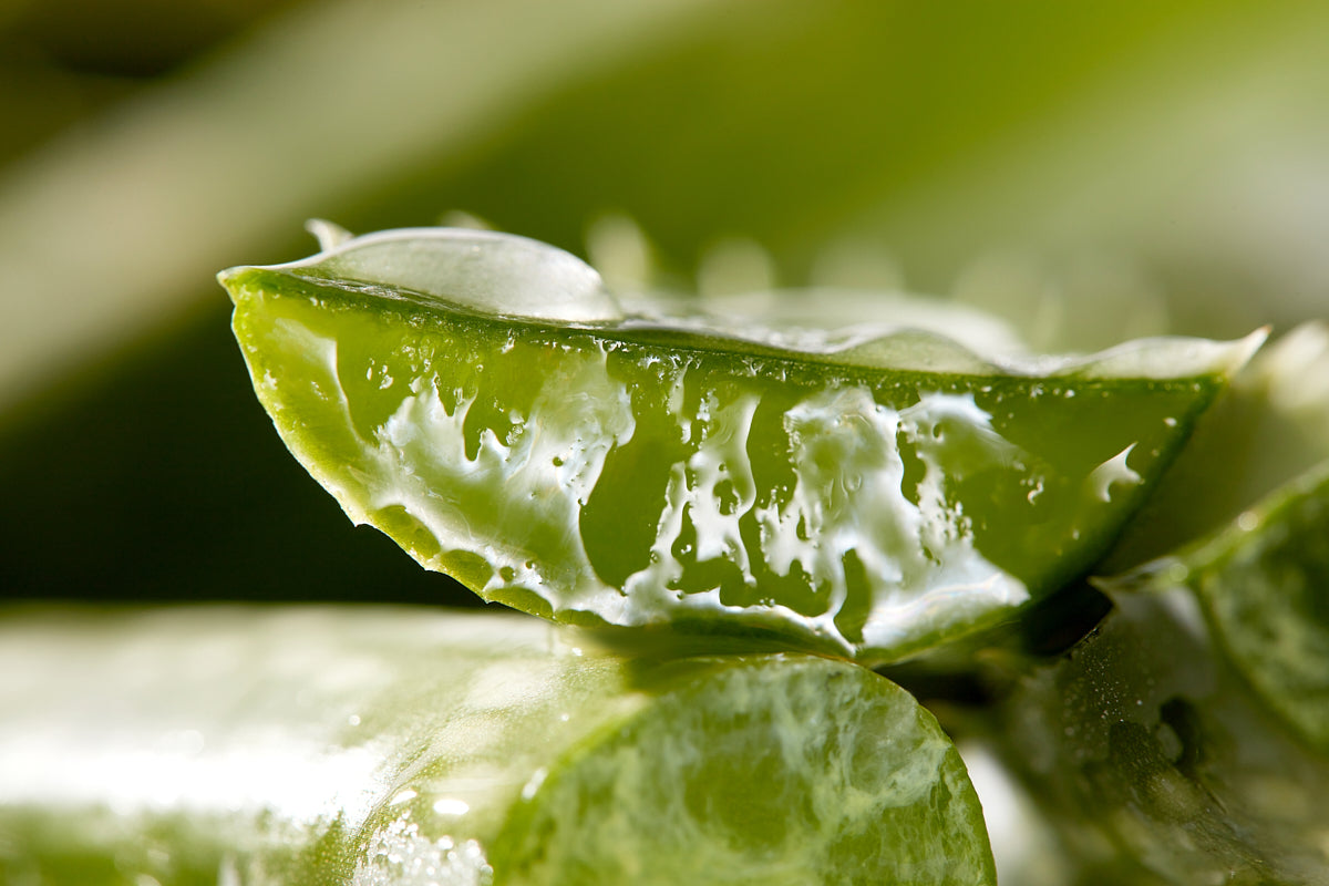 Christophe Robin | Hydrating Melting Mask With Aloe Vera 