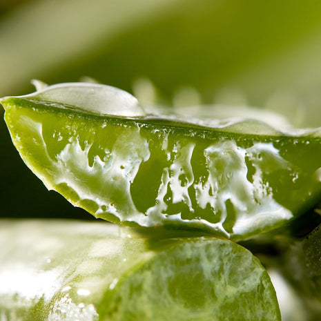 Christophe Robin | Hydrating Melting Mask With Aloe Vera "75ml" | MCM Beauty 