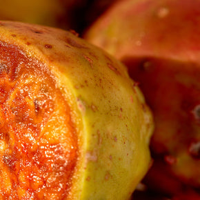 Christophe Robin - Regenerating shampoo with prickly pear oil 500ml