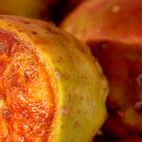 Christophe Robin - Regenerating shampoo with prickly pear oil 500ml