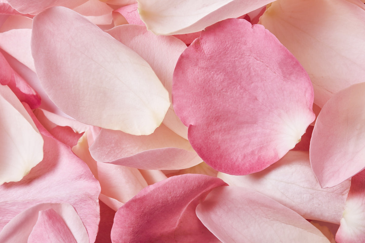 Christophe Robin - Cleansing Volumising Paste with rose extract